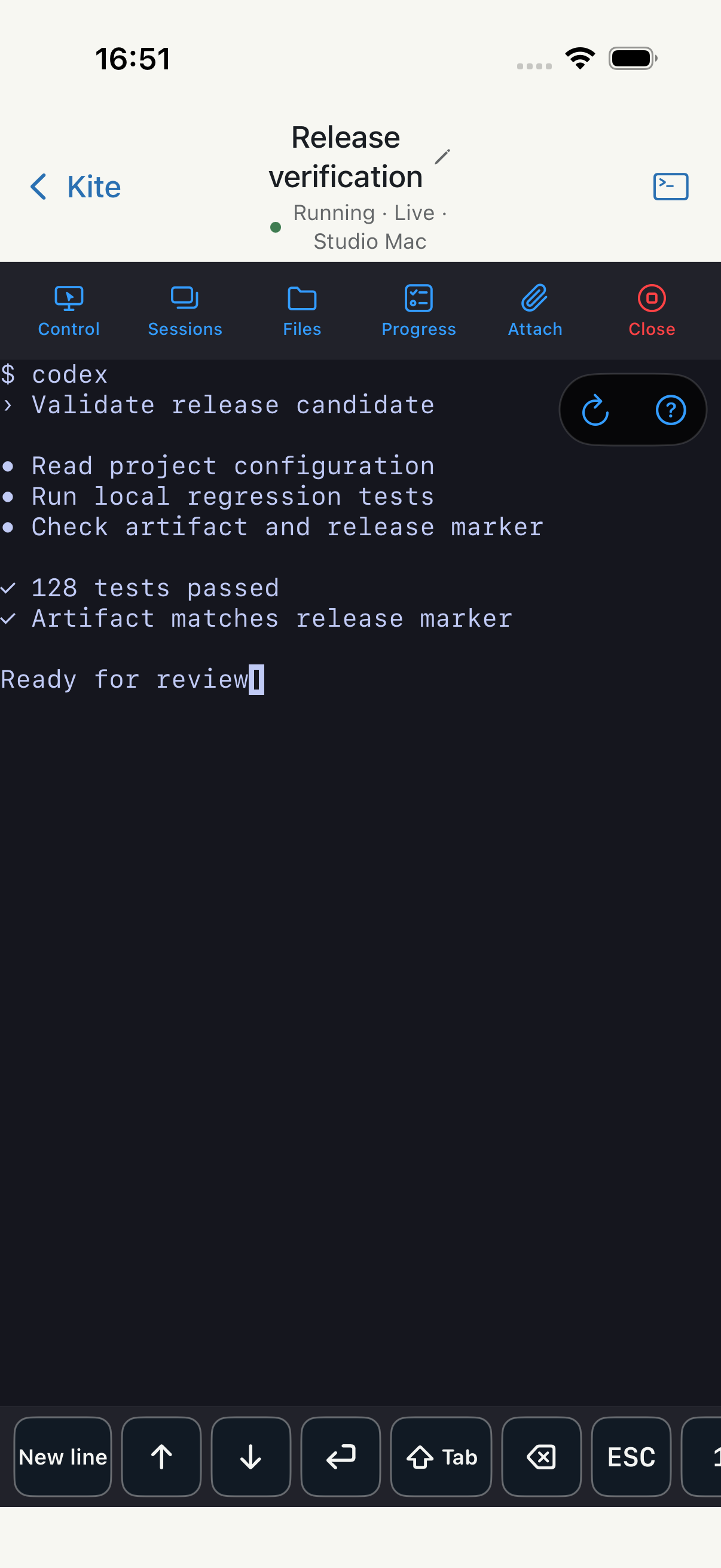 English Zhaoye remote terminal on iPhone Simulator with live state and session controls