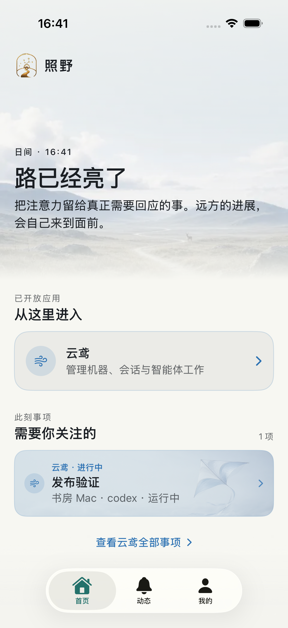 照野 iPhone 模拟器中文首页，显示云鸢入口和运行中的远程会话